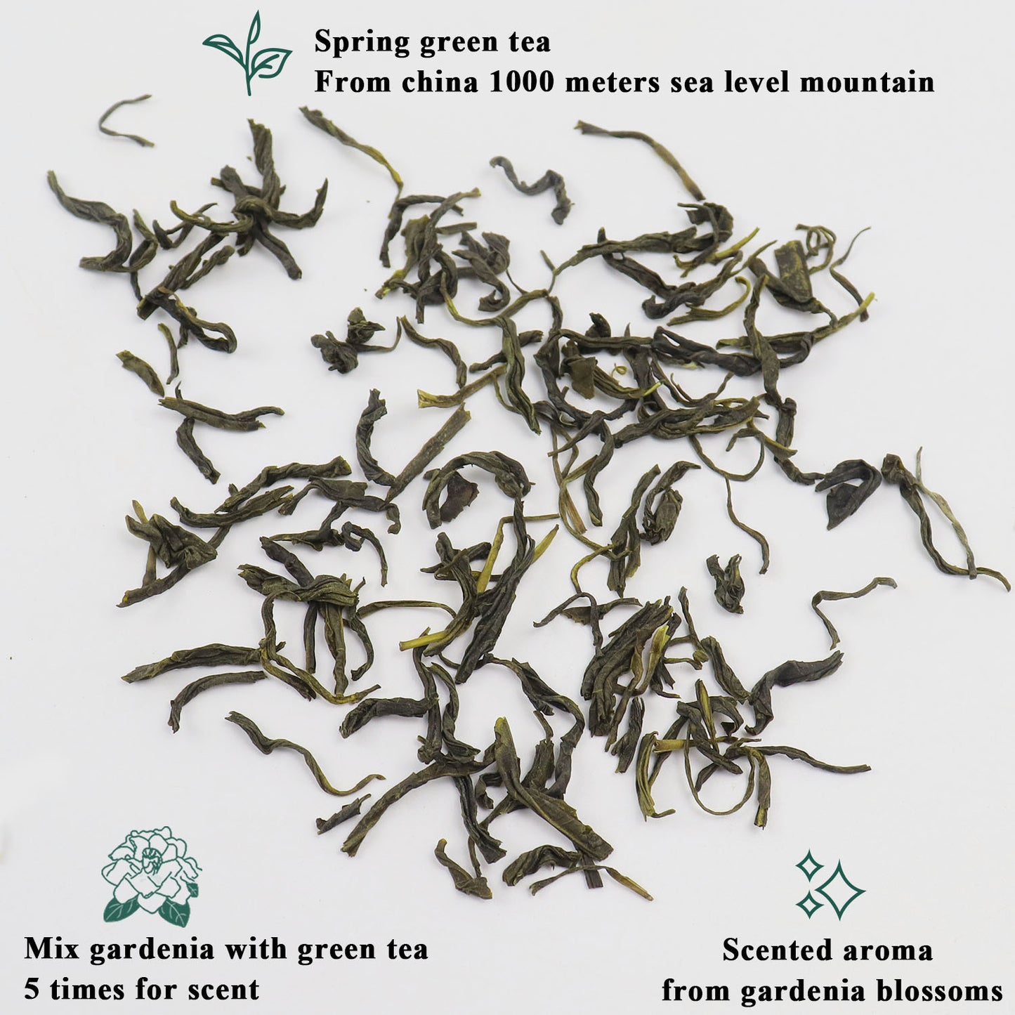 ESSENCESIP Gardenia Green Tea 3.5 oz, Loose Leaf 100g