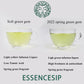ESSENCESIP Organic Green Tea 3.5 oz, Loose Leaf 100g