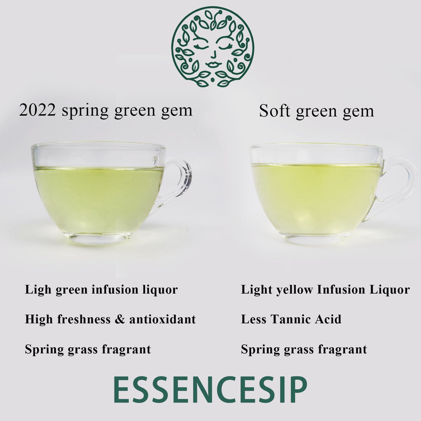 ESSENCESIP Organic 2022 New Spring Green Tea 3.5 oz, Loose Leaf 100g