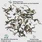 ESSENCESIP Gardenia Green Tea 3.5 oz, Loose Leaf 100g