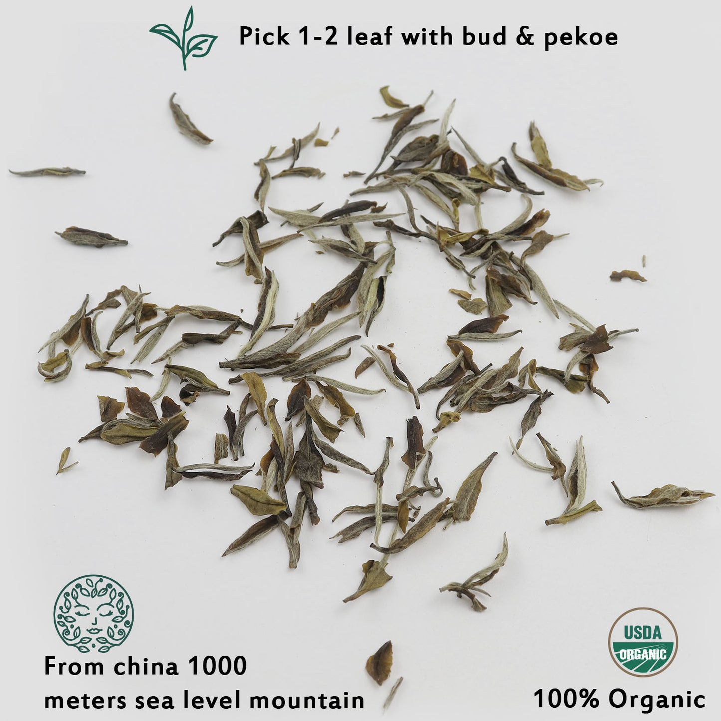 ESSENCESIP Organic White Tea 1.05 oz, Loose Leaf 30g